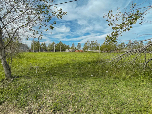 Imagen 9 de 12 de Lote Sobre Boulevard Principal Apto Comercial