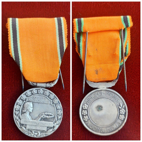 Medalla Sociedad Nacional Para El Fomento Del Bien - 344