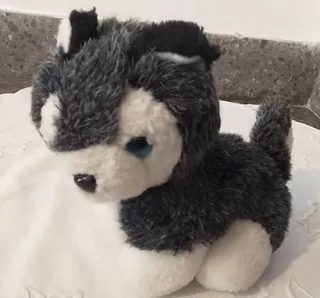 Peluche Husky