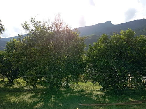 Imagen 1 de 16 de Jamundi, San Vicente, 6.400 M2.