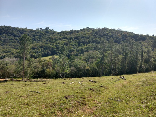 Chácara 20.000 M² - Lomba Grande - Novo Hamburgo - Rs - 2229 - 34453770