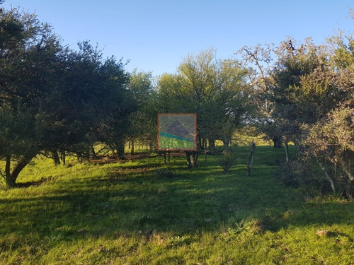 Imagen 9 de 14 de Campo Ganadero 325has Garzón Maldonado