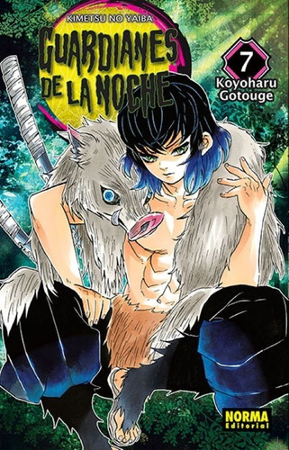 Guardianes De La Noche 07 Manga (nuevos)