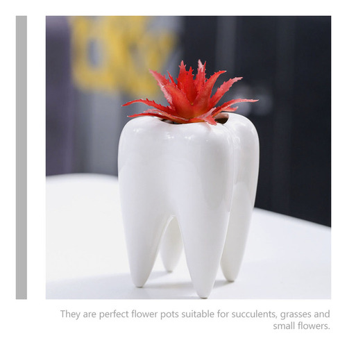 Floreira Cilíndrica Em Cerâmica Com Formato Dente, 4
