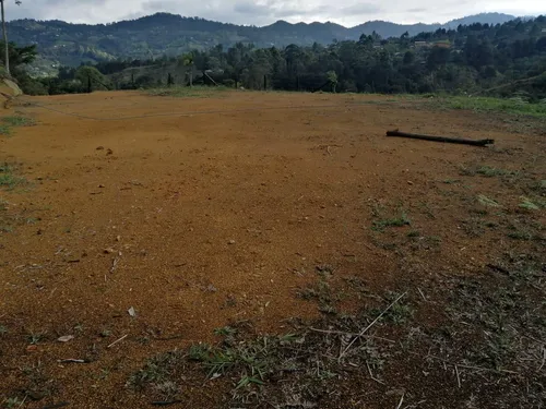 Lindos Lotes En Venta Guarne