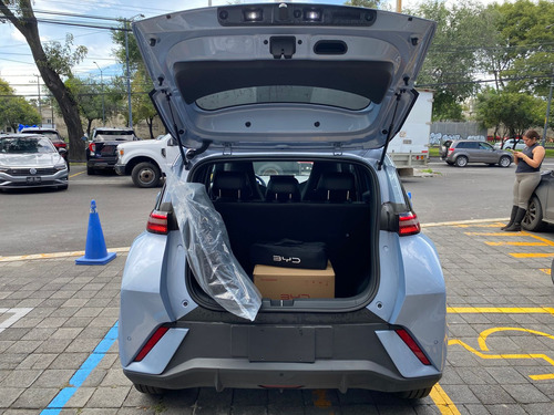 Byd Dolphin Mini 2026
