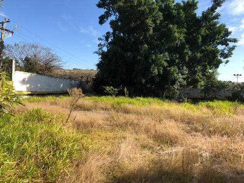 Imagem 1 de 5 de Terreno - Te00429 - 69514550