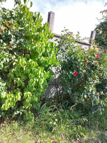 Sitio 600 Mt2 En Casco Historico De Coyhaique