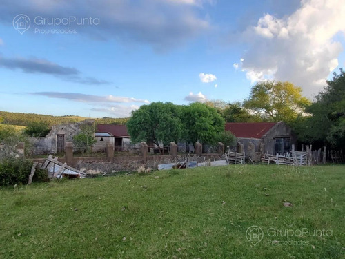 Venta De Chacras Lavalleja