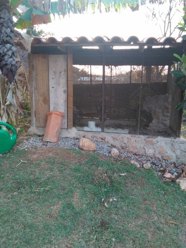 Imagem 5 de 30 de Chacara - Ch00205 - 68772128