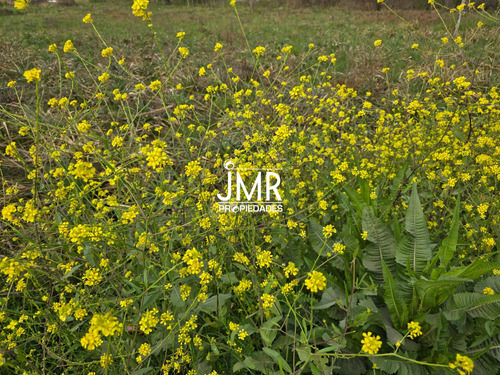 Jmr Propiedades | Calle Calcagno - Villa Rosa | Terreno En Venta