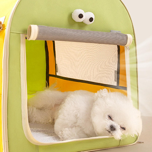 Cão Caixa De Carro Viagem Filhote De Amarelo E Verde