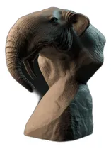 Comprar Cabeza De Deinotherium: Tesoros Prehistóricos En Casa