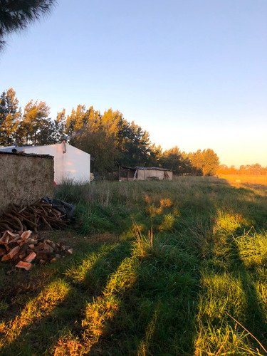 Oportunidad Chacra 5has 2 Muy Buenas Casas Sobre Camino Viejo A Navarro