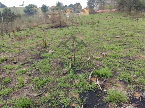 Imagem 11 de 12 de Área 21.500m² Santa Isabel-sp - Ar00016 - 71000382
