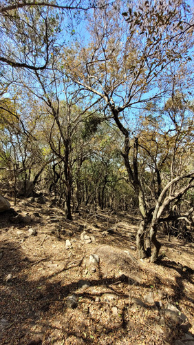 Venta De Terreno Campo En Las Sierras De Cordoba Unquillo Argentina