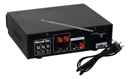 Mini Amplificador De Audio 100w 2 Mic Usb/sd/fm Free Power 100 W