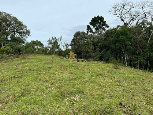 Imagem 3 de 9 de Chácara À Venda No Bairro Colônia Murici - São José Dos Pinhais/pr - 5864