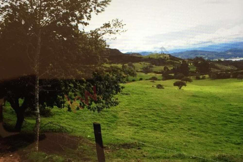 Venta Finca En La Vereda Tierra Negra Sesquilé Cundinamarca-6234