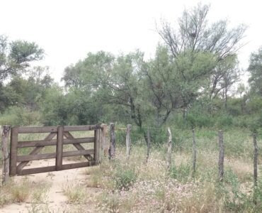 Imagen 5 de 14 de Campo De 100 Hectáreas En Venta - Villa De Soto