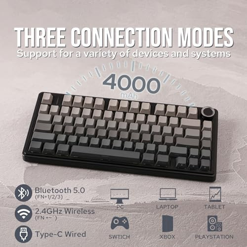 Epomaker Aula F75: Teclado Mecánico Rgb Intercambiable En Ca