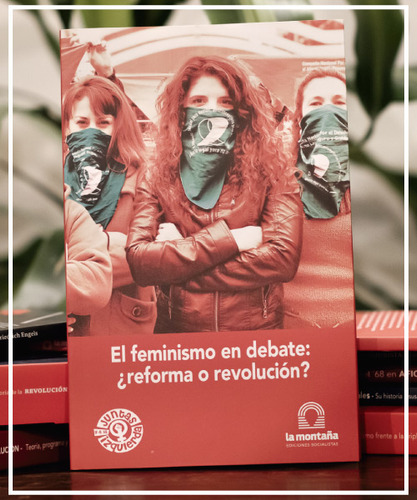 El Feminismo En Debate    Reforma O Revolucion