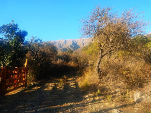 Imagen 2 de 6 de Terreno 800 M2 Parque Calaguala Venta Calaguala Cerro De Oro San Luis