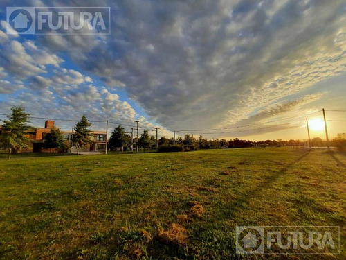Imagen 19 de 28 de Terreno En Venta En Ibarlucea - Barrio Las Casuarinas Lote 38