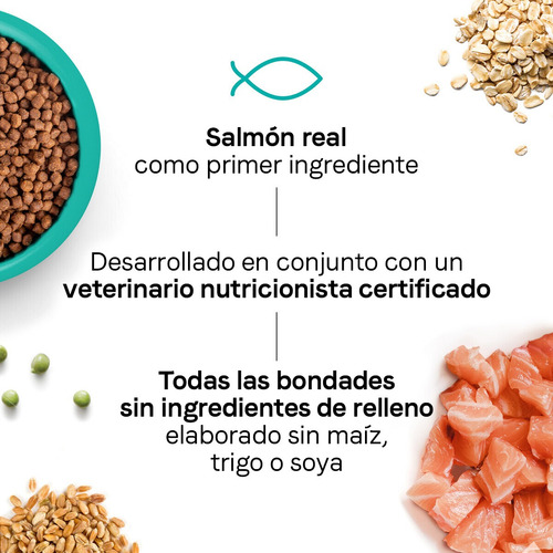 Alimento Natural Canidae Articulaciones Gato Salmón 4.5kg