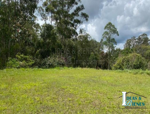 Lote En Venta Rionegro Sector Llano Grande