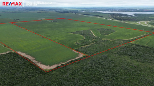 Venta Campo 140 Has Sobre Ruta 36 Almafuerte Cba