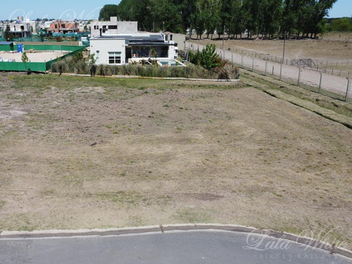 Imagen 9 de 12 de Venta - Lote En La Alameda