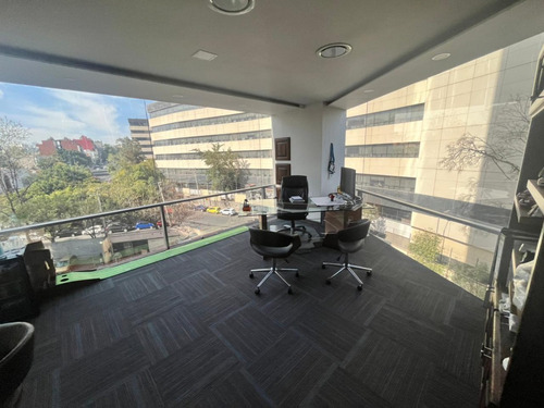 Oficinas En Renta En Torre Del Árbol