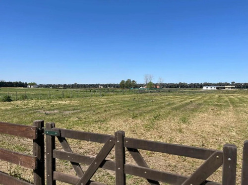 Terreno En Venta - 2794mts2 - Carlos Keen