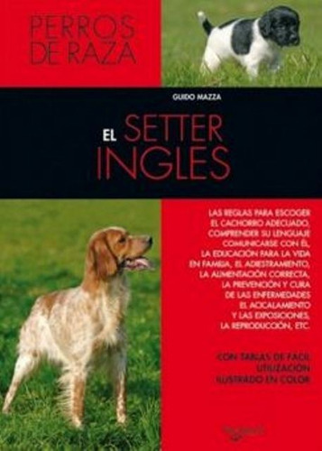 El Setter Inglés - Perros De Raza, Guido Mazza, Vecchi 