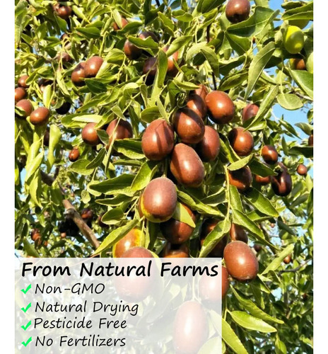 Té De Frutas Y Hierbas Dátiles Rojos De Azufaifa Premium 3lb