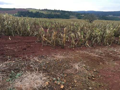 Imagem 13 de 15 de Fazenda Para Venda Em Piraju, Rural - Faz 133_1-1938778