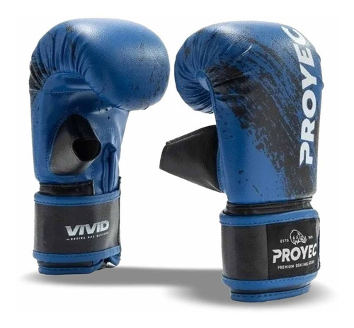 Guantin Proyec Vivid Boxeo Artes Marciales Asfl70