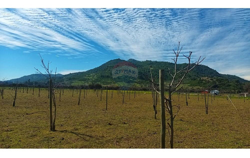 Terreno En Colchagua