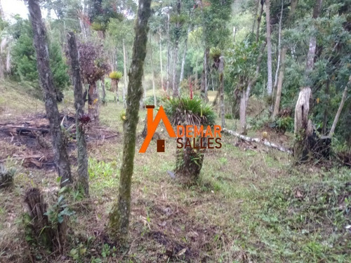 Imagem 18 de 30 de Chacara - Ch00125 - 70927858