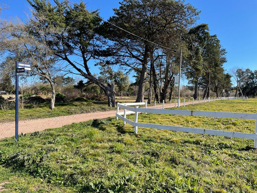 Imagen 11 de 30 de Lote Terreno En Venta 300 M2 - Parques Del Morenito, Moreno Norte