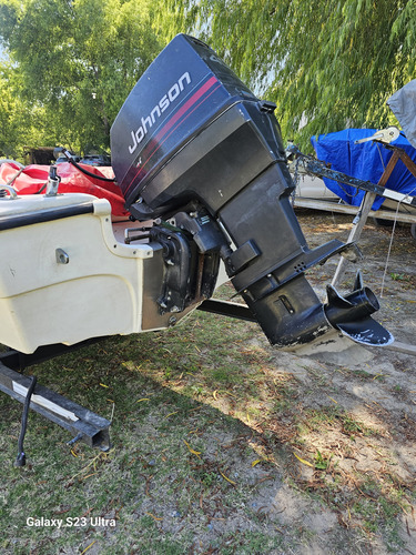 Lancha Tarrab 430 Johnson 40 Hp Con Trailer Homologado