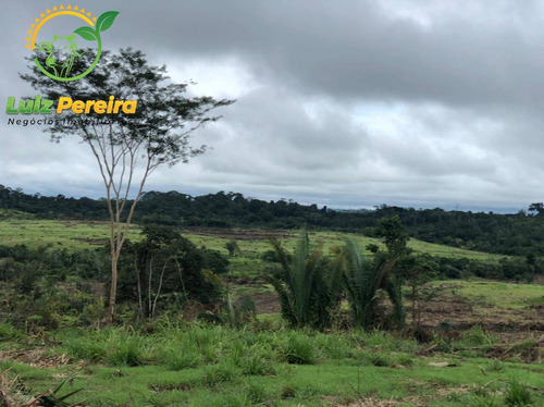 Imagem 3 de 15 de Fazenda À Venda Em Pacaja - Pa - De 1.900 Alqueires (dupla Aptidão) - 1649