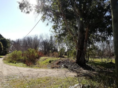 Imagen 3 de 13 de Venta De 1 Hectárea En Pilar A Metros De Ruta 28