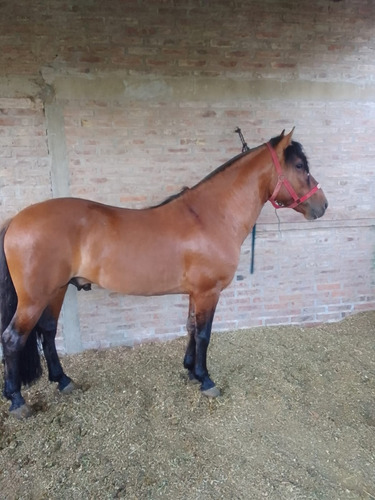 Campo Mixto De 784 Ha En Fernandez, Santiago Del Estero