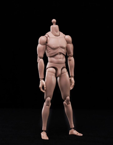 Figura O Cuerpo De 1/6 O 30 Cm Articulado Manos Extras Tt (Usado)