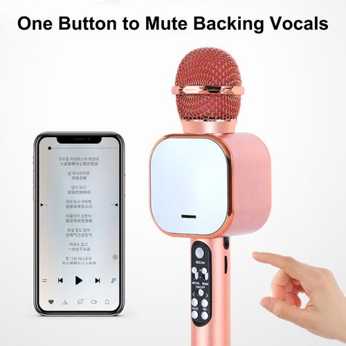 Altavoz De Micrófono Portátil Inalámbrico 3 En 1 Con Led Par