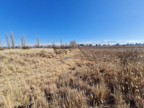 Imagen 10 de 20 de 41 Ha Ruta 15 (zona Bodegas)