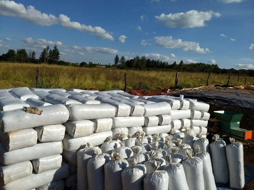 Imagem 3 de 3 de Maquina Agrícola De Silagem Gasolina