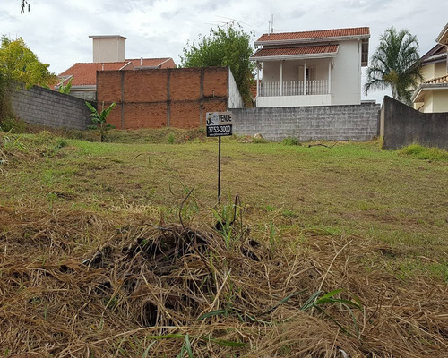 Imagem 1 de 2 de Terreno - Te03818 - 32542886